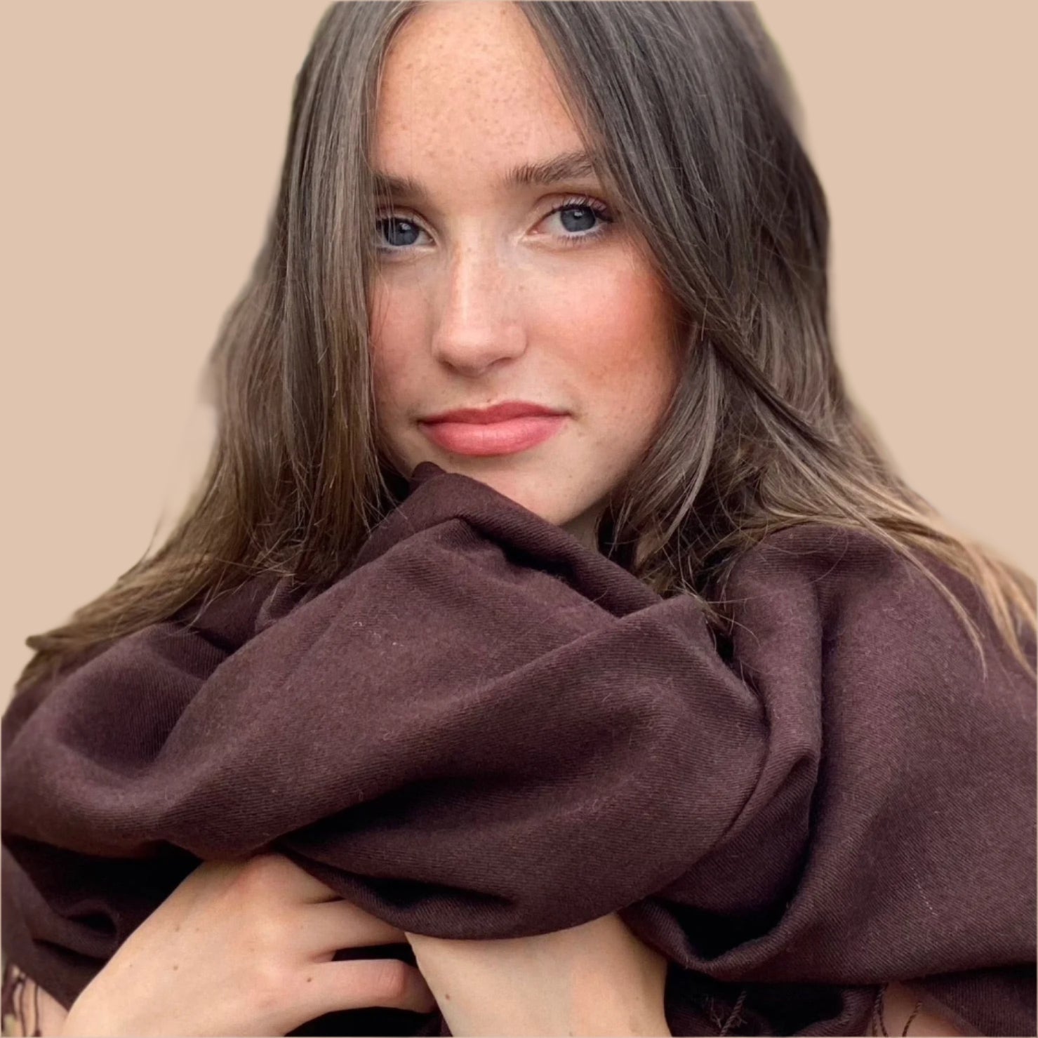 Chocolate Brown Classic Pashmina Signature Cashmere